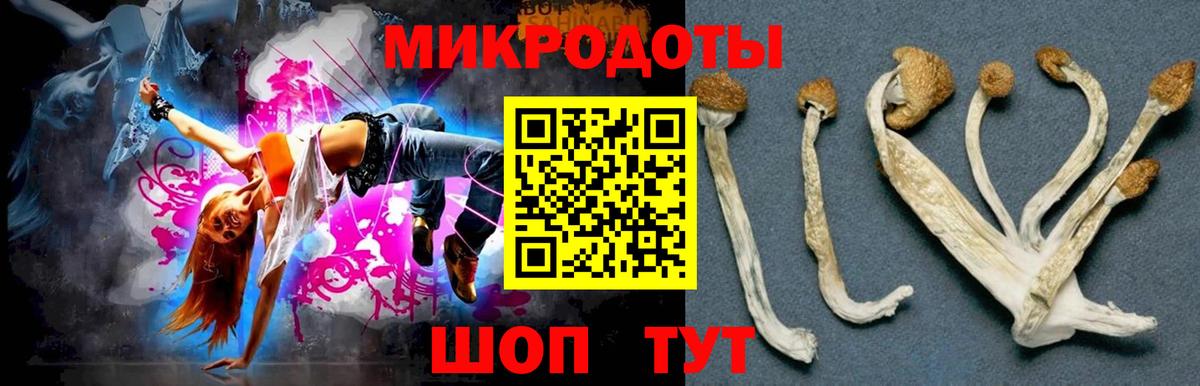 Псилоцибиновые грибы прущие грибы Нягань